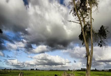 乐鱼leyu：渡邊雄太的妻子曬出了2024年的聖誕合照難道不想讓人心煩嗎.