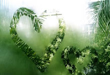 克洛普：阿利森、若塔將缺陣，我們要球員均衡擔負比賽責任.