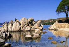 “朋友圈”不断扩大 欢迎亚冬会赛场上的新朋友！.